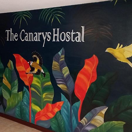 The Canarys Hostal Santa Rosa de Cabal Exteriör bild
